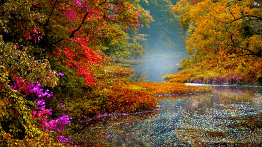 51532 (a): :1920x1080